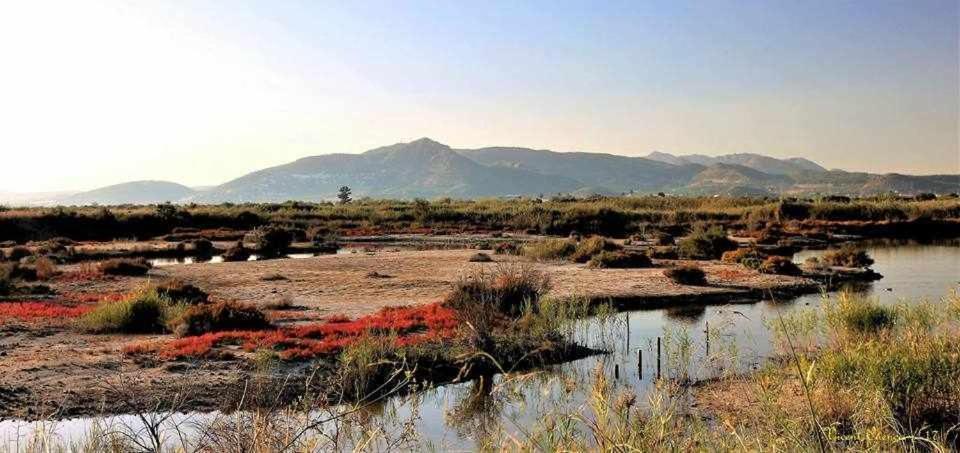 Mediterrania Marina Sagunto Zimmer foto